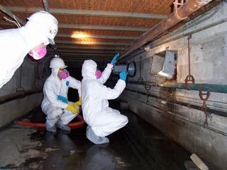 PinPoint Mold Removal-Remediation
